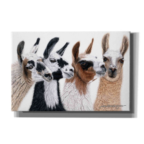 Image of 'Peruvian Visitors' by Jan Henderson, Canvas Wall Art