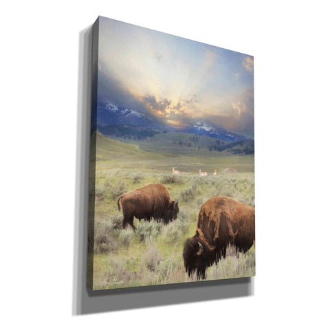 Image of 'Great American West' by Lori Deiter, Canvas Wall Art