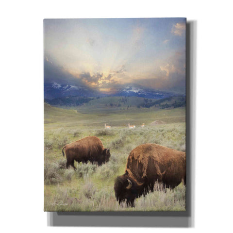 Image of 'Great American West' by Lori Deiter, Canvas Wall Art