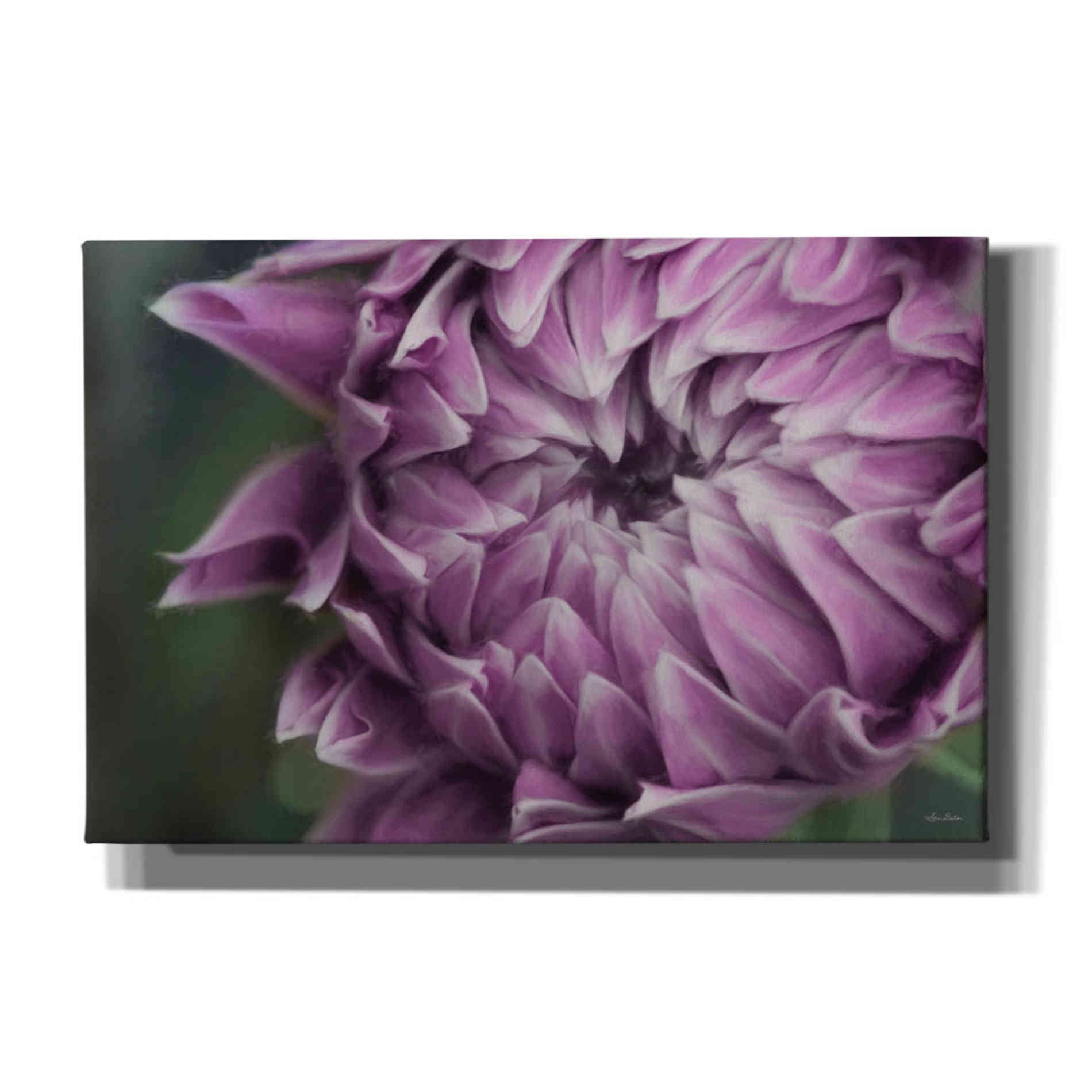 'The Grand Opening' by Lori Deiter, Canvas Wall Art