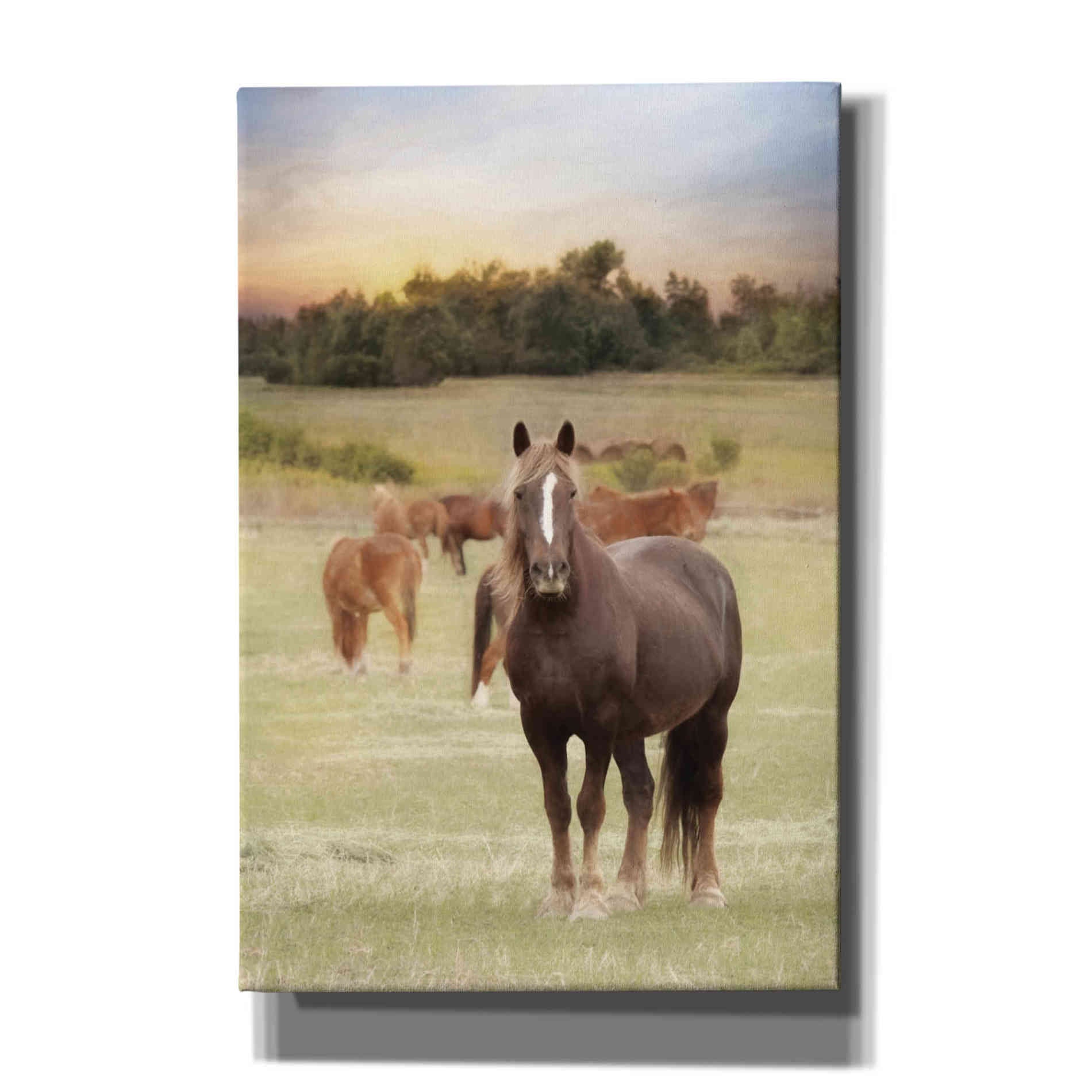 'Jackson Horse Farm' by Lori Deiter, Canvas Wall Art
