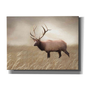 'Elk in the Field' by Lori Deiter, Canvas Wall Art