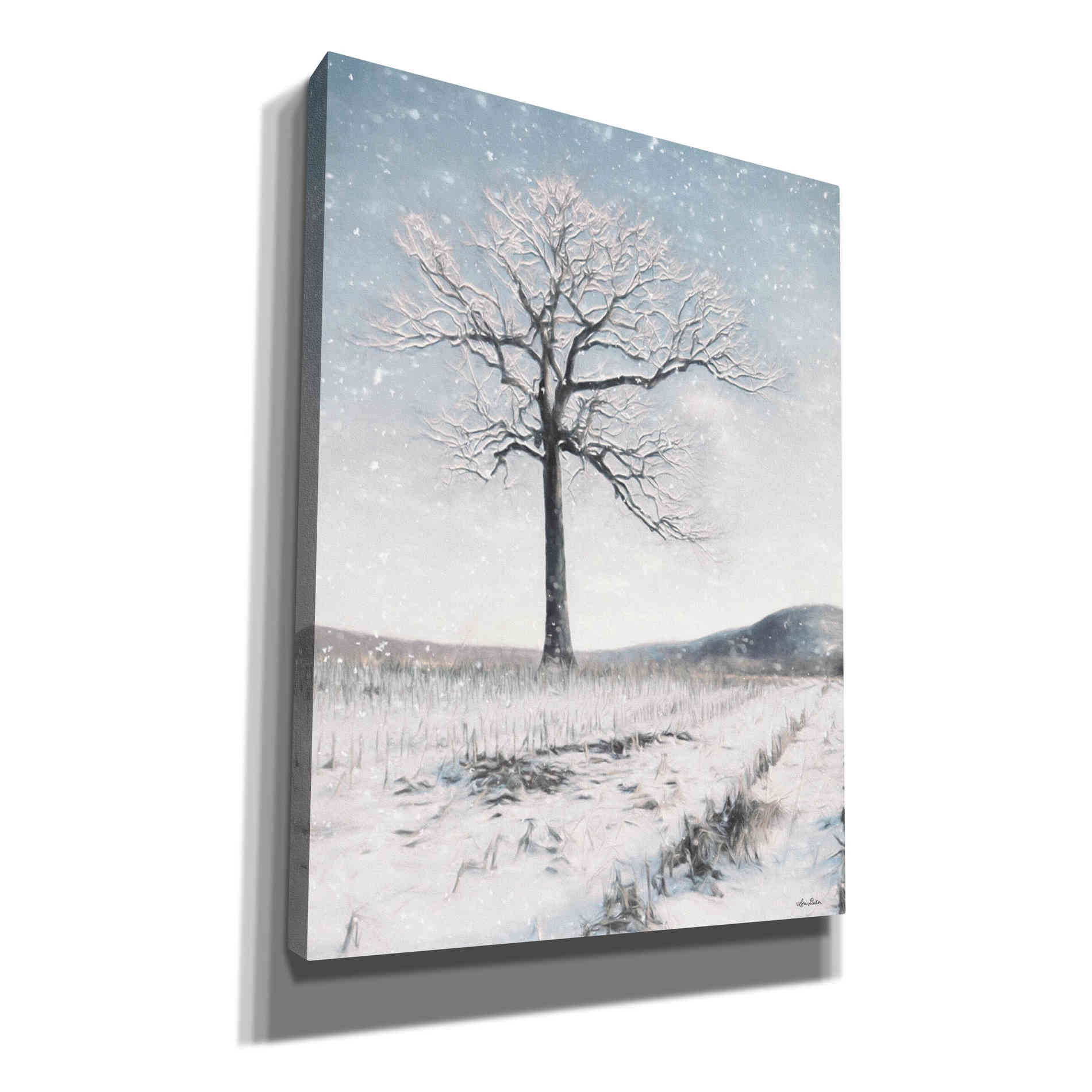 'The Field Master' by Lori Deiter, Canvas Wall Art