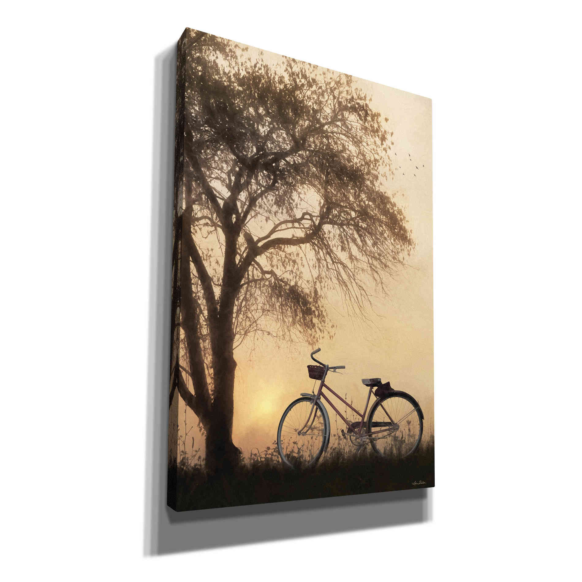 'Foggy Morning Sunrise' by Lori Deiter, Canvas Wall Art