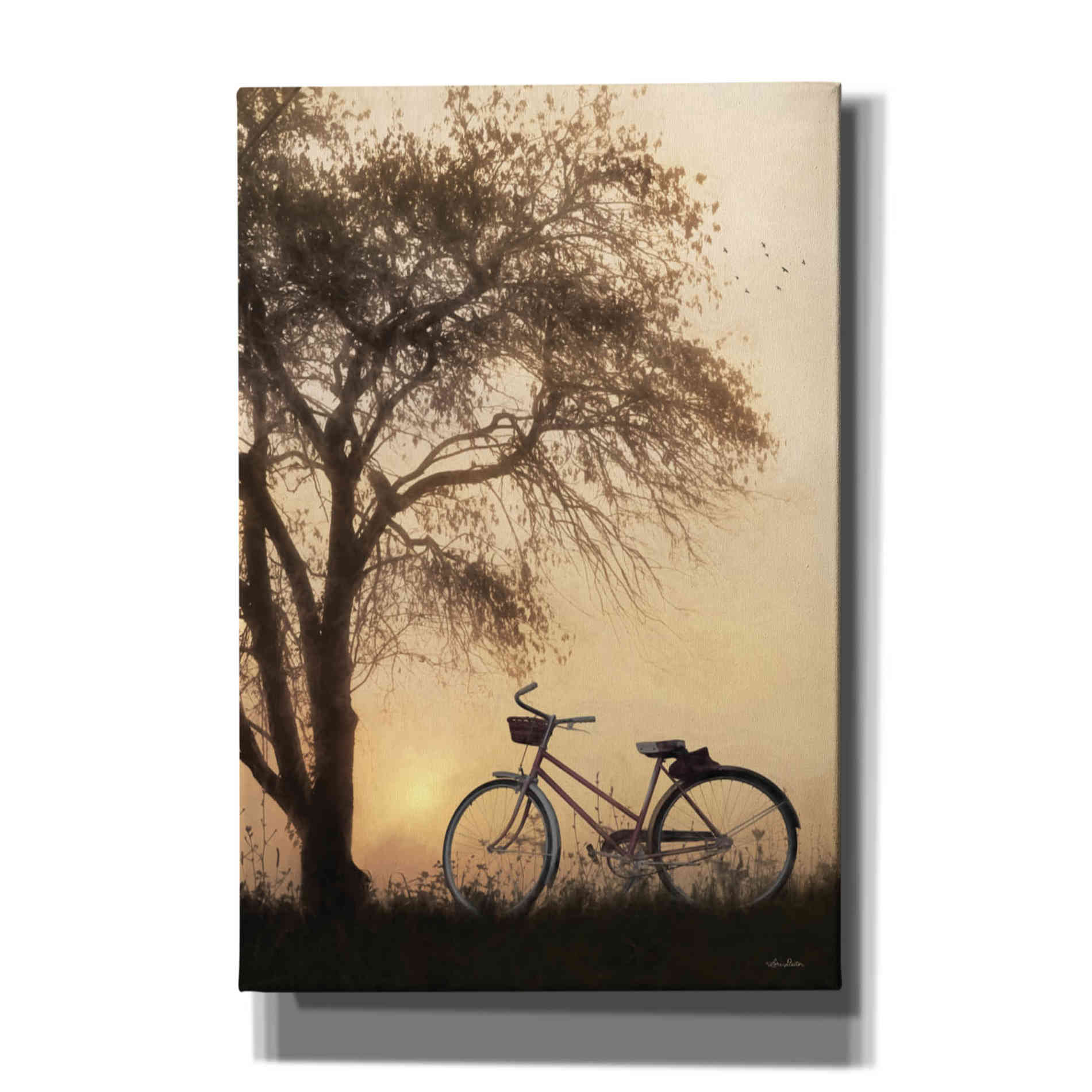 'Foggy Morning Sunrise' by Lori Deiter, Canvas Wall Art
