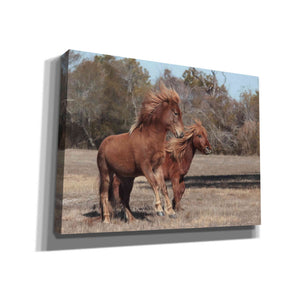 'Assateague Horses I' by Lori Deiter, Canvas Wall Art