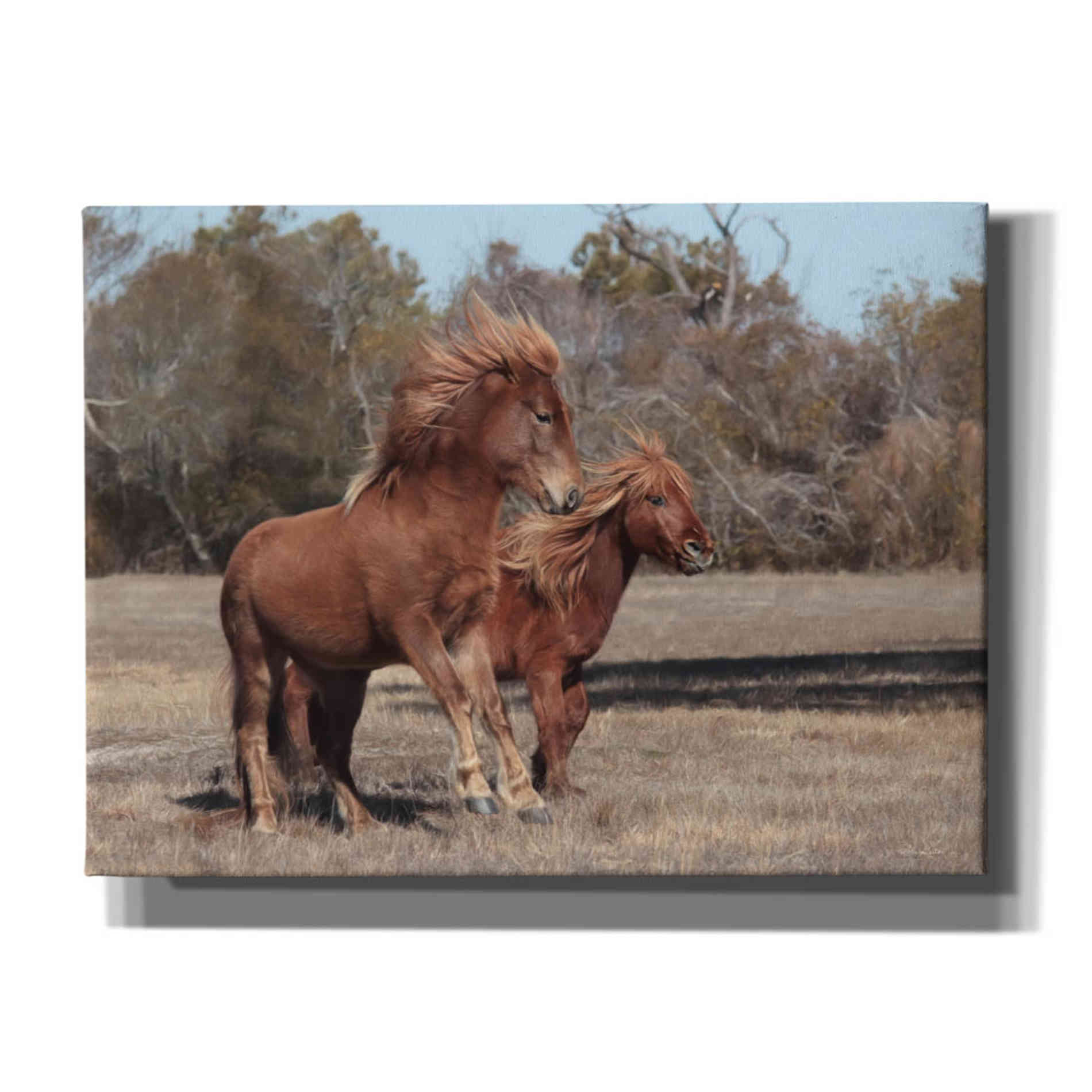 'Assateague Horses I' by Lori Deiter, Canvas Wall Art