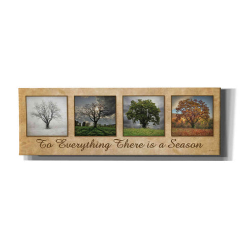 Image of 'There is a Season' by Lori Deiter, Canvas Wall Art
