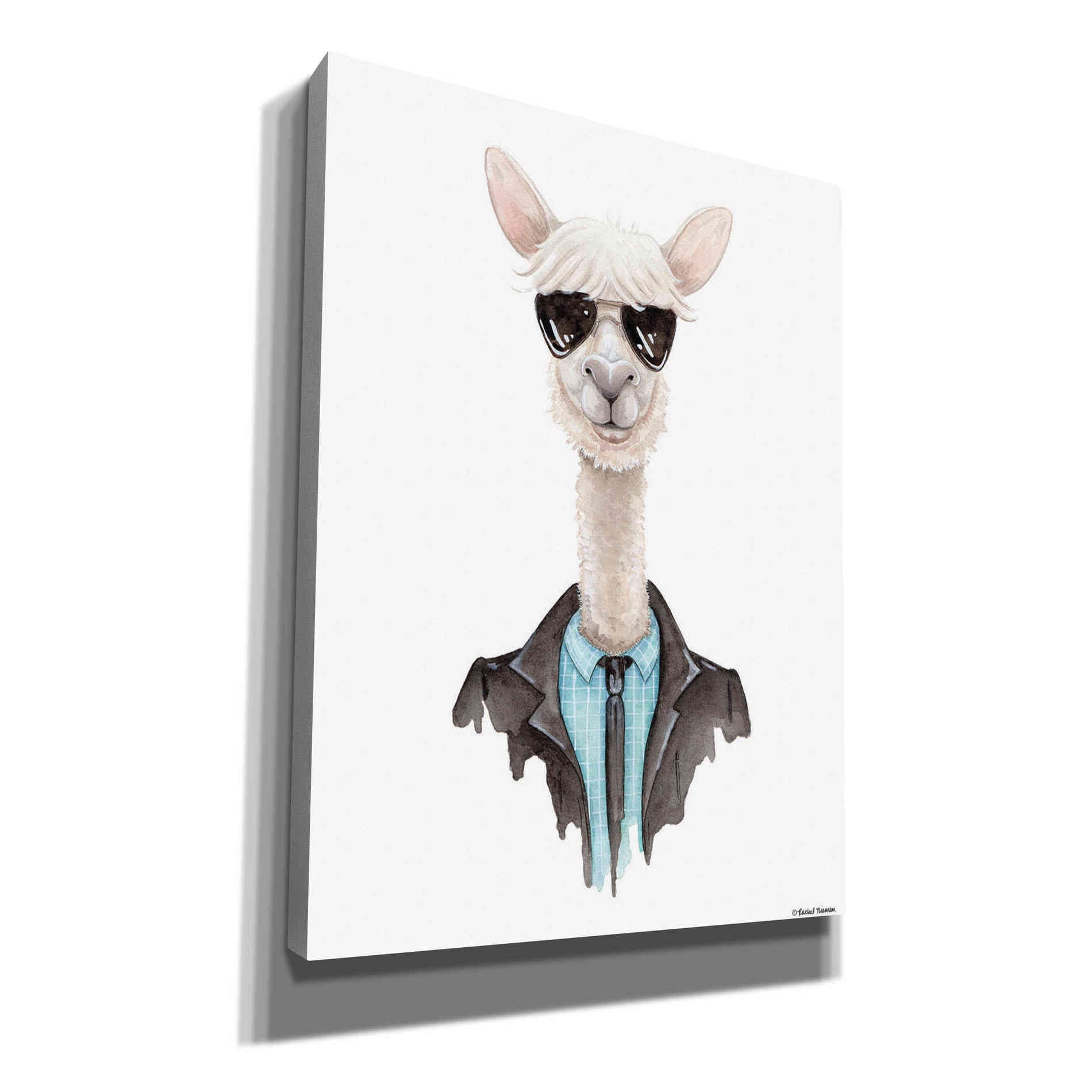 'Alpaca in Aviators' by Rachel Nieman, Canvas Wall Art
