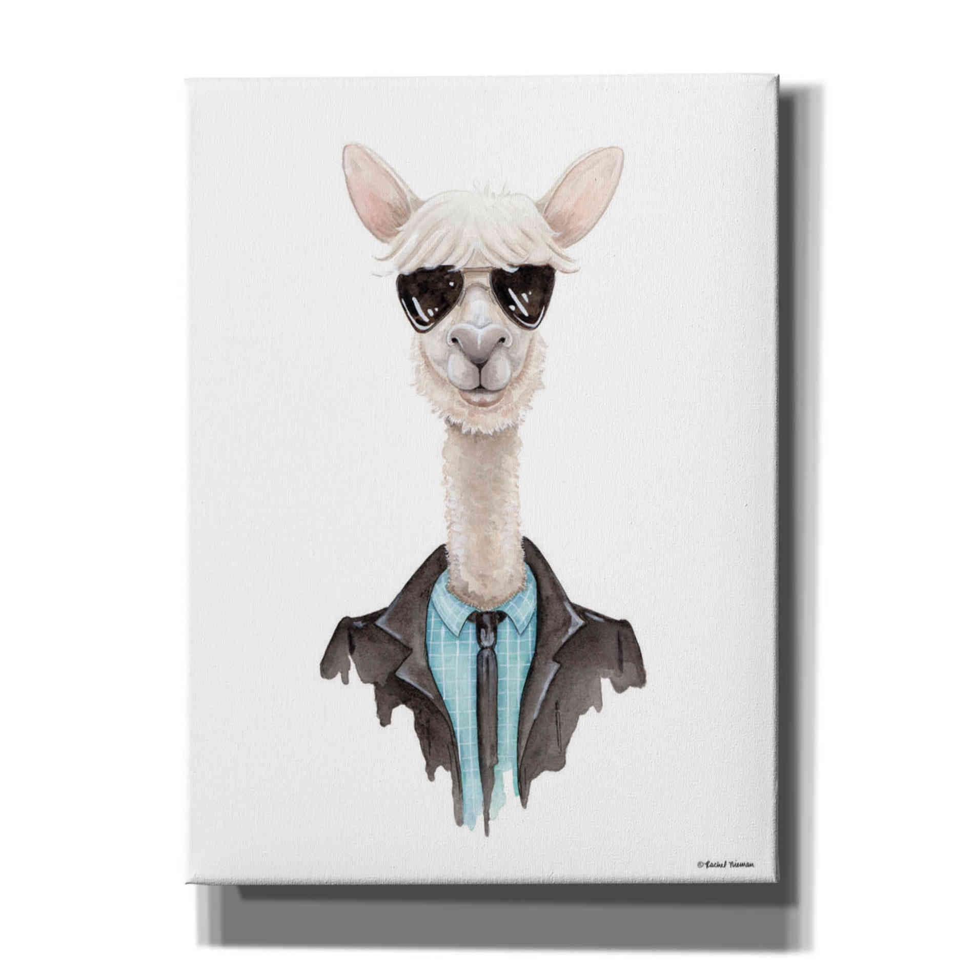 'Alpaca in Aviators' by Rachel Nieman, Canvas Wall Art