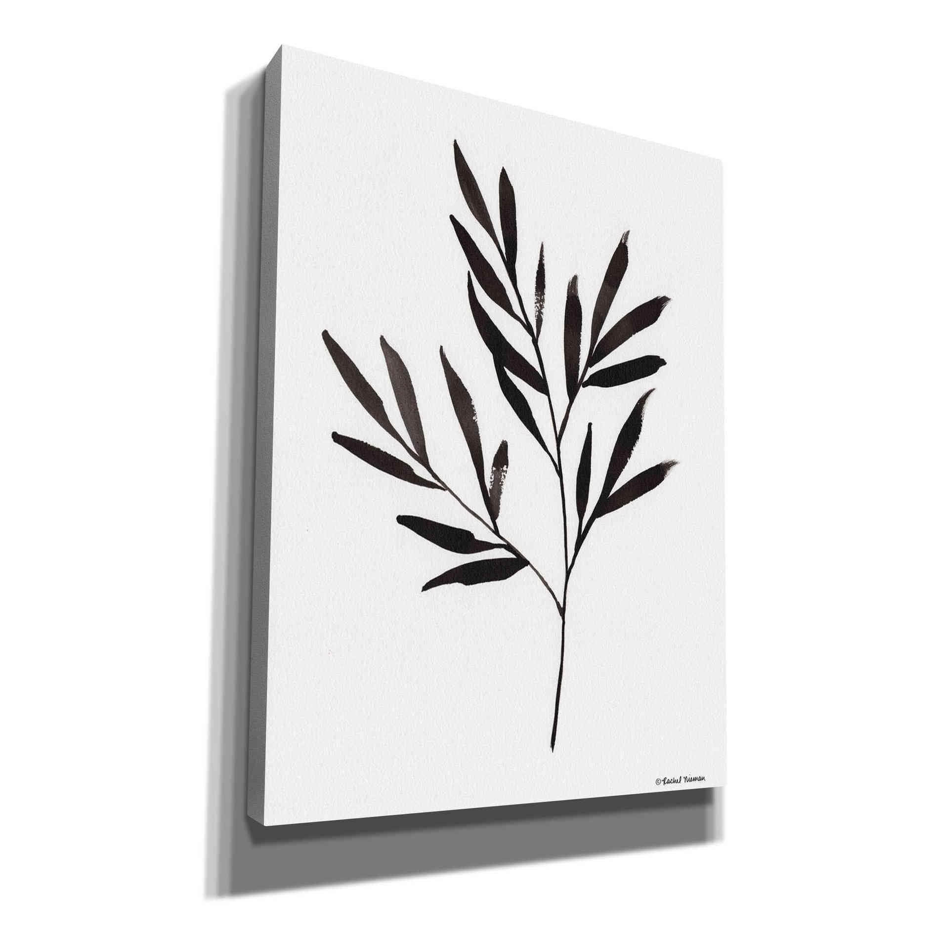 'Reductive Leaf Stem Black' by Rachel Nieman, Canvas Wall Art
