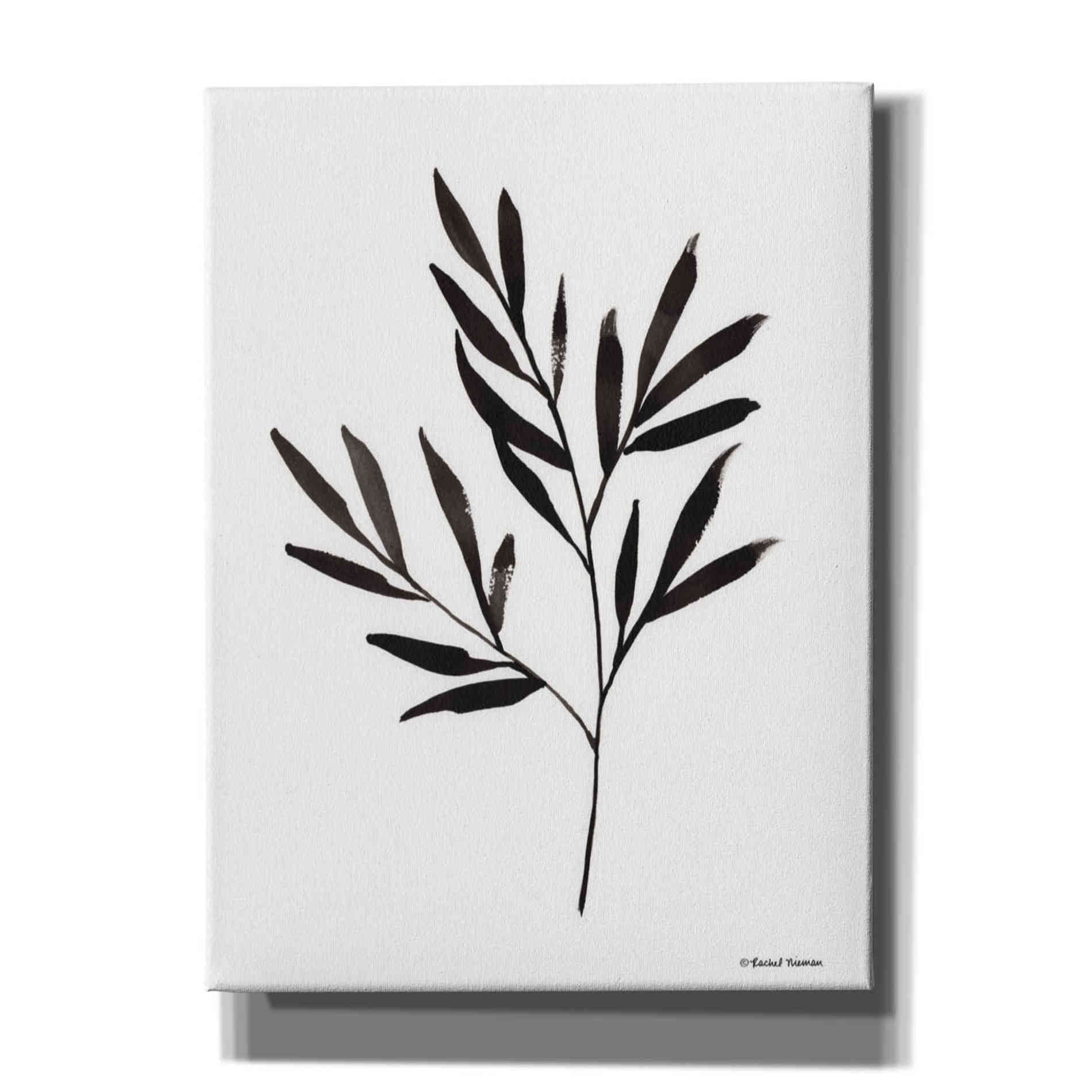 'Reductive Leaf Stem Black' by Rachel Nieman, Canvas Wall Art