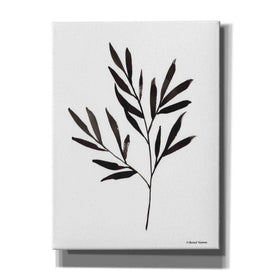 'Reductive Leaf Stem Black' by Rachel Nieman, Canvas Wall Art