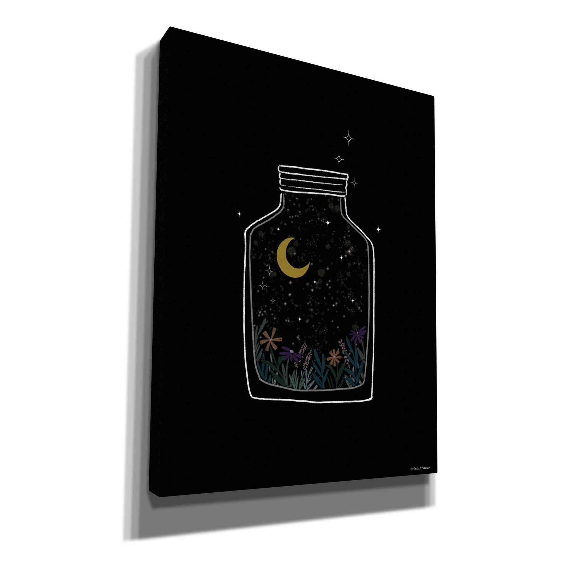 'Celestial Jar' by Rachel Nieman, Canvas Wall Art