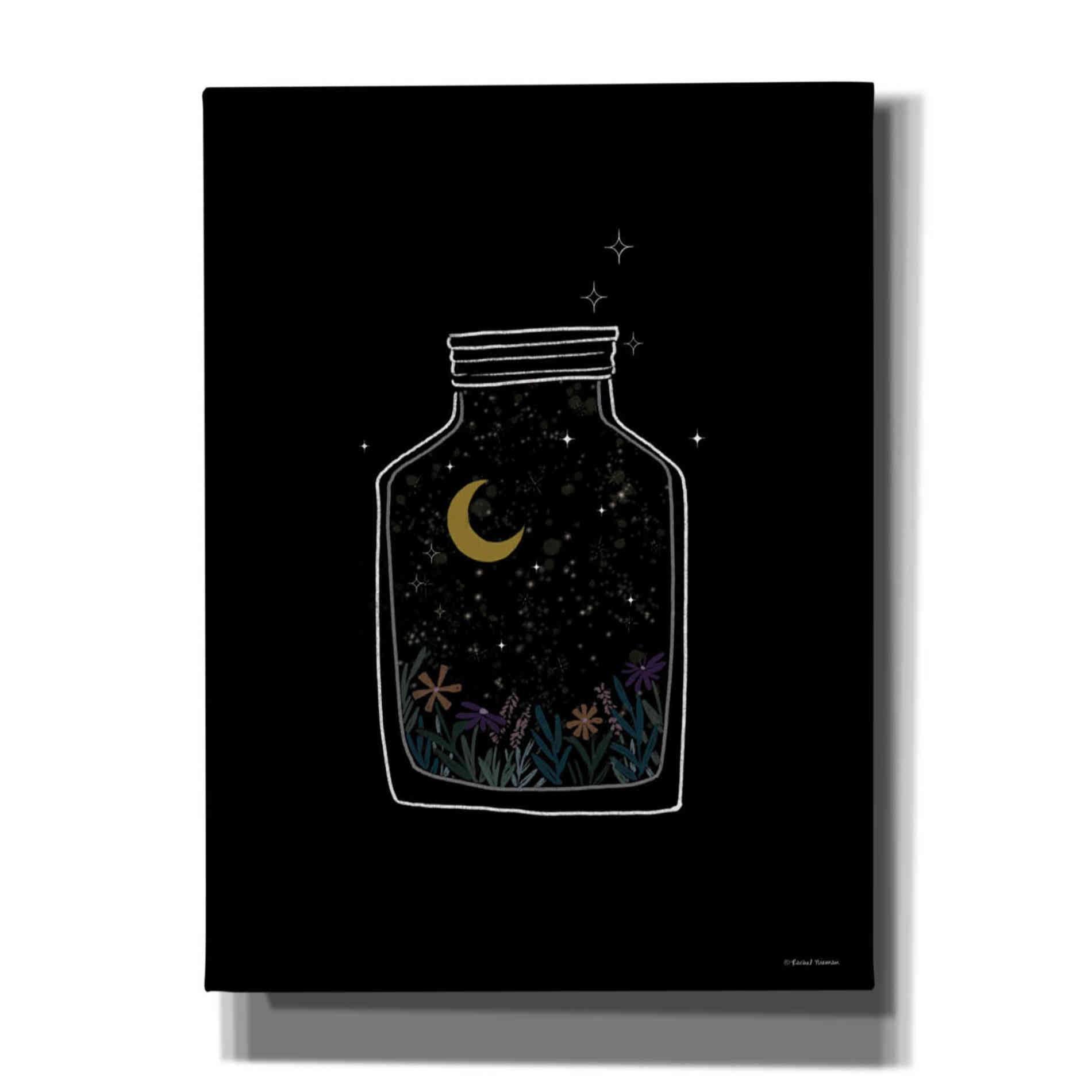 'Celestial Jar' by Rachel Nieman, Canvas Wall Art