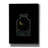 'Celestial Jar' by Rachel Nieman, Canvas Wall Art