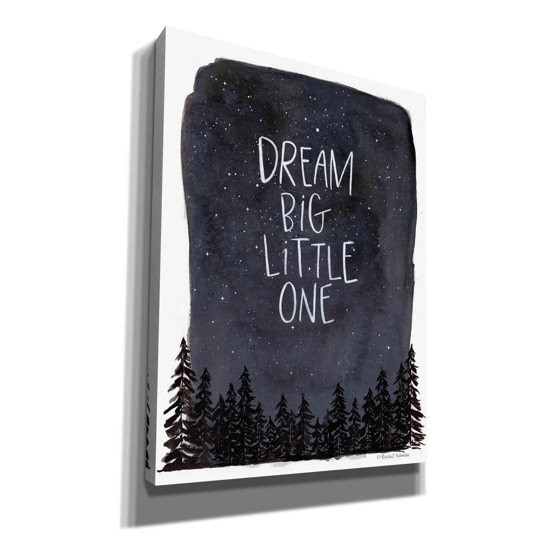 'Dream Big Little One' by Rachel Nieman, Canvas Wall Art