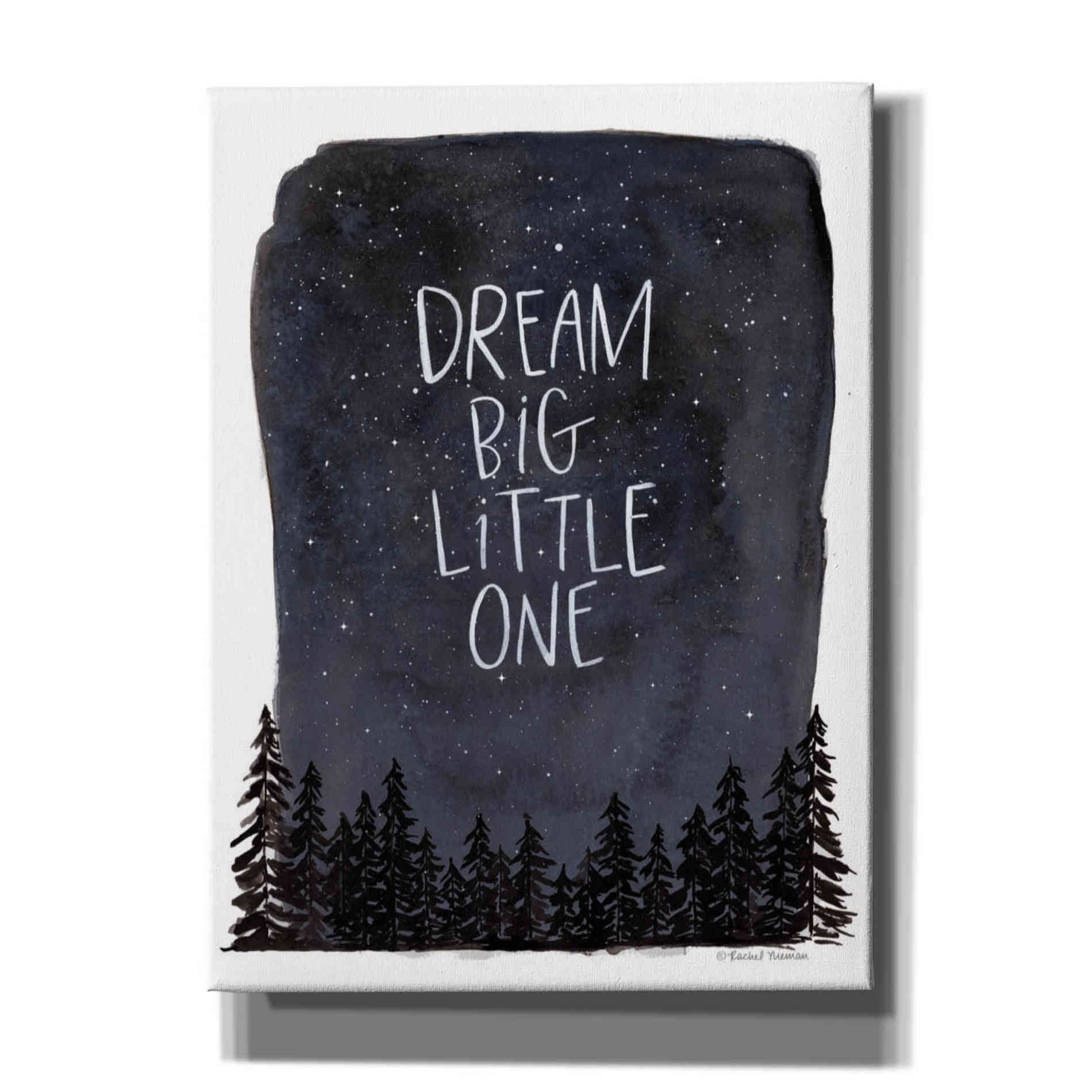 'Dream Big Little One' by Rachel Nieman, Canvas Wall Art