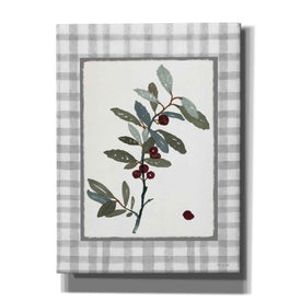 'Floral Medley 3' by Stellar Design Studio, Canvas Wall Art