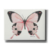 'Butterfly 1' by Stellar Design Studio, Canvas Wall Art