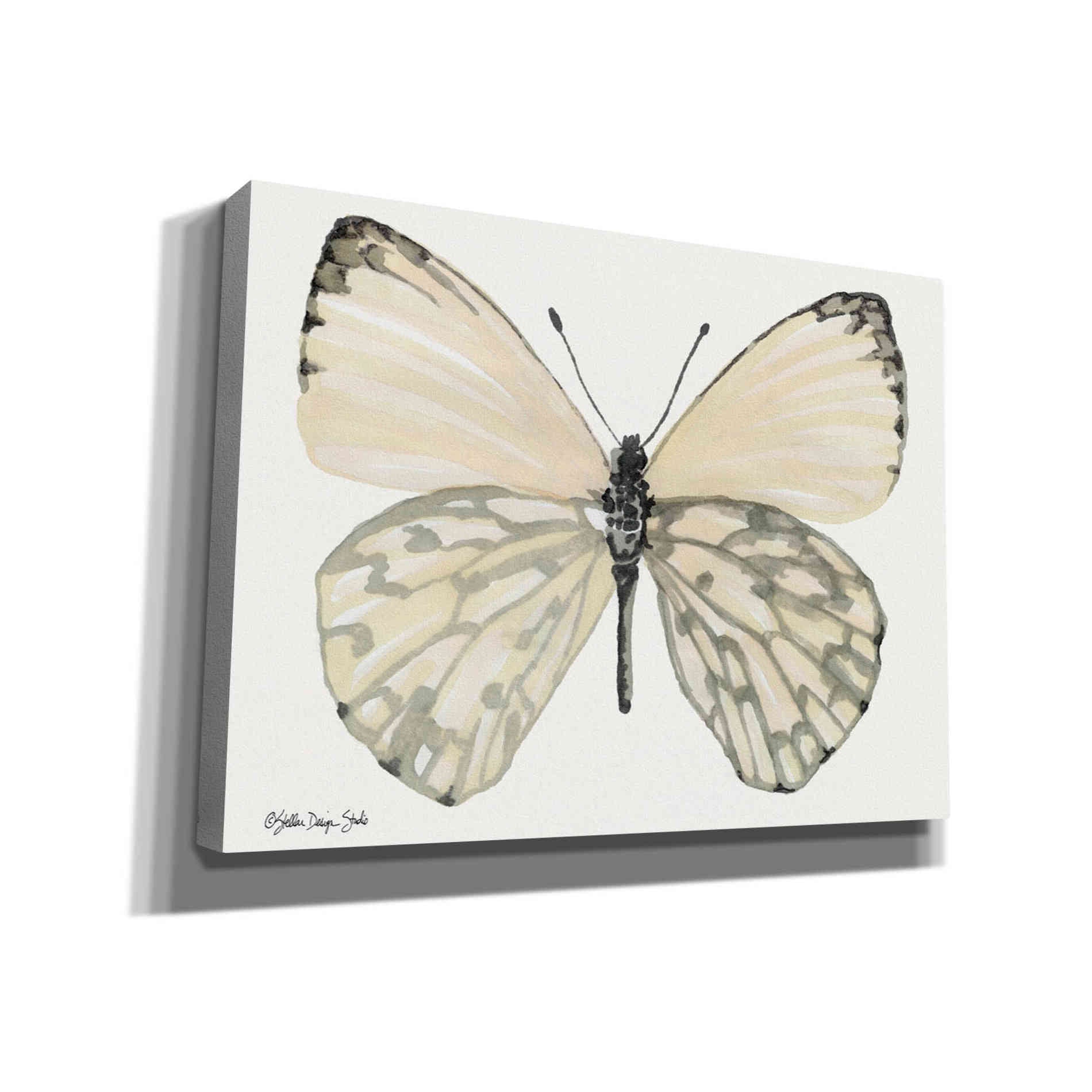 'Butterfly 2' by Stellar Design Studio, Canvas Wall Art