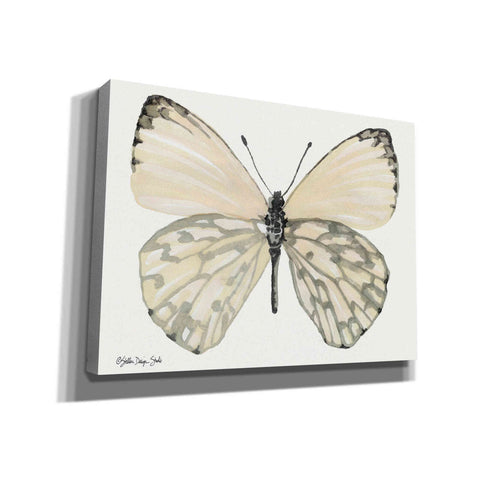 Image of 'Butterfly 2' by Stellar Design Studio, Canvas Wall Art