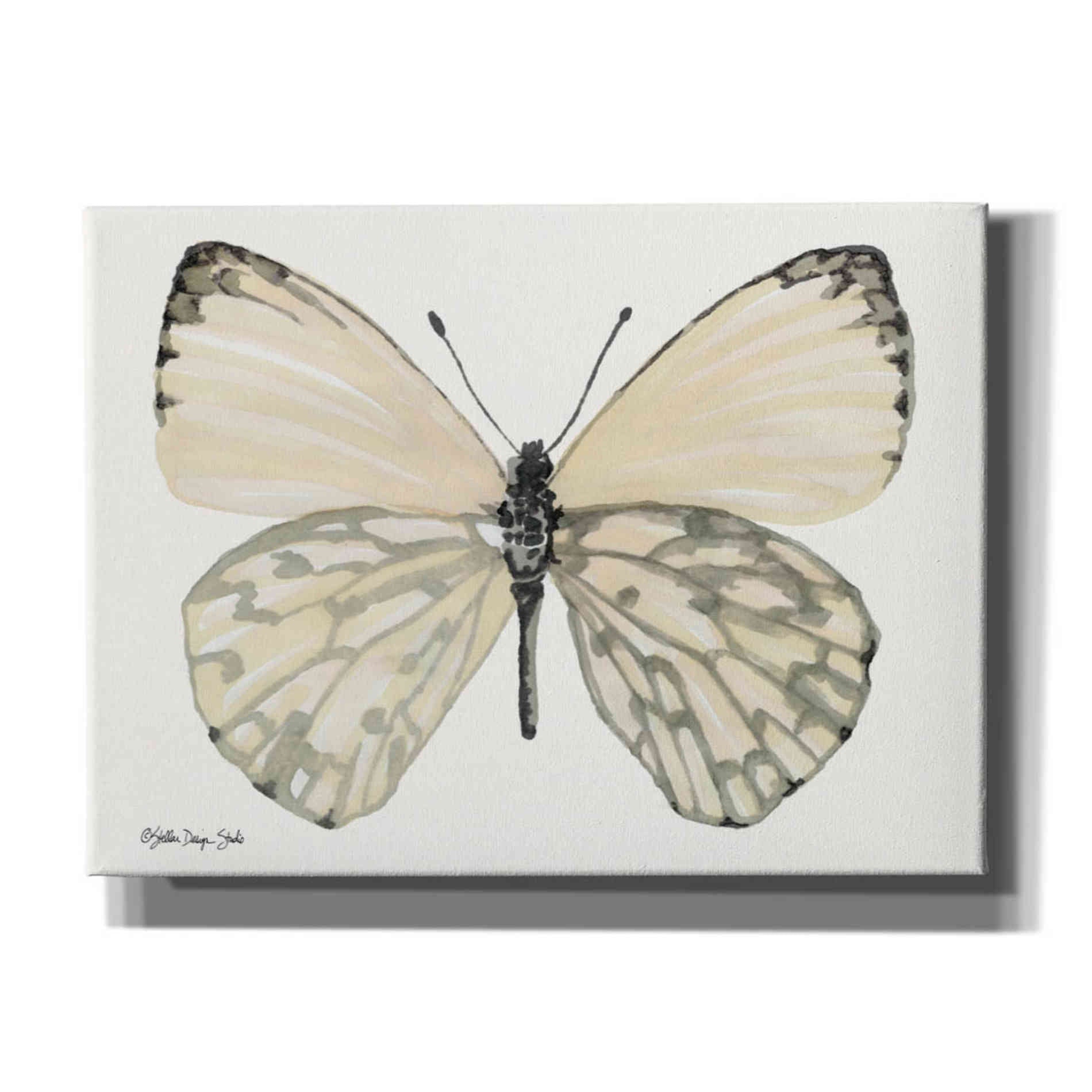 'Butterfly 2' by Stellar Design Studio, Canvas Wall Art