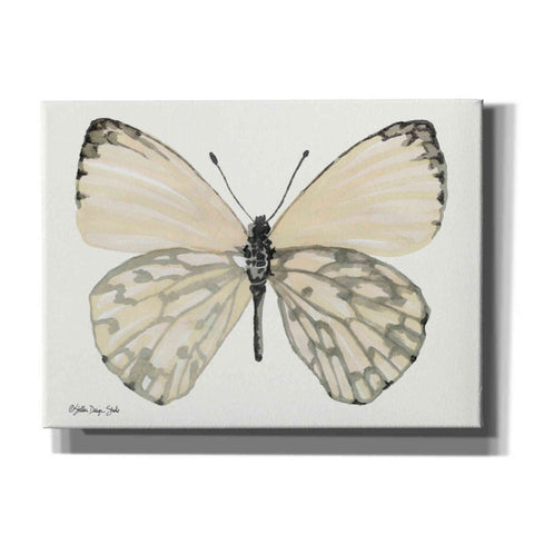 Image of 'Butterfly 2' by Stellar Design Studio, Canvas Wall Art