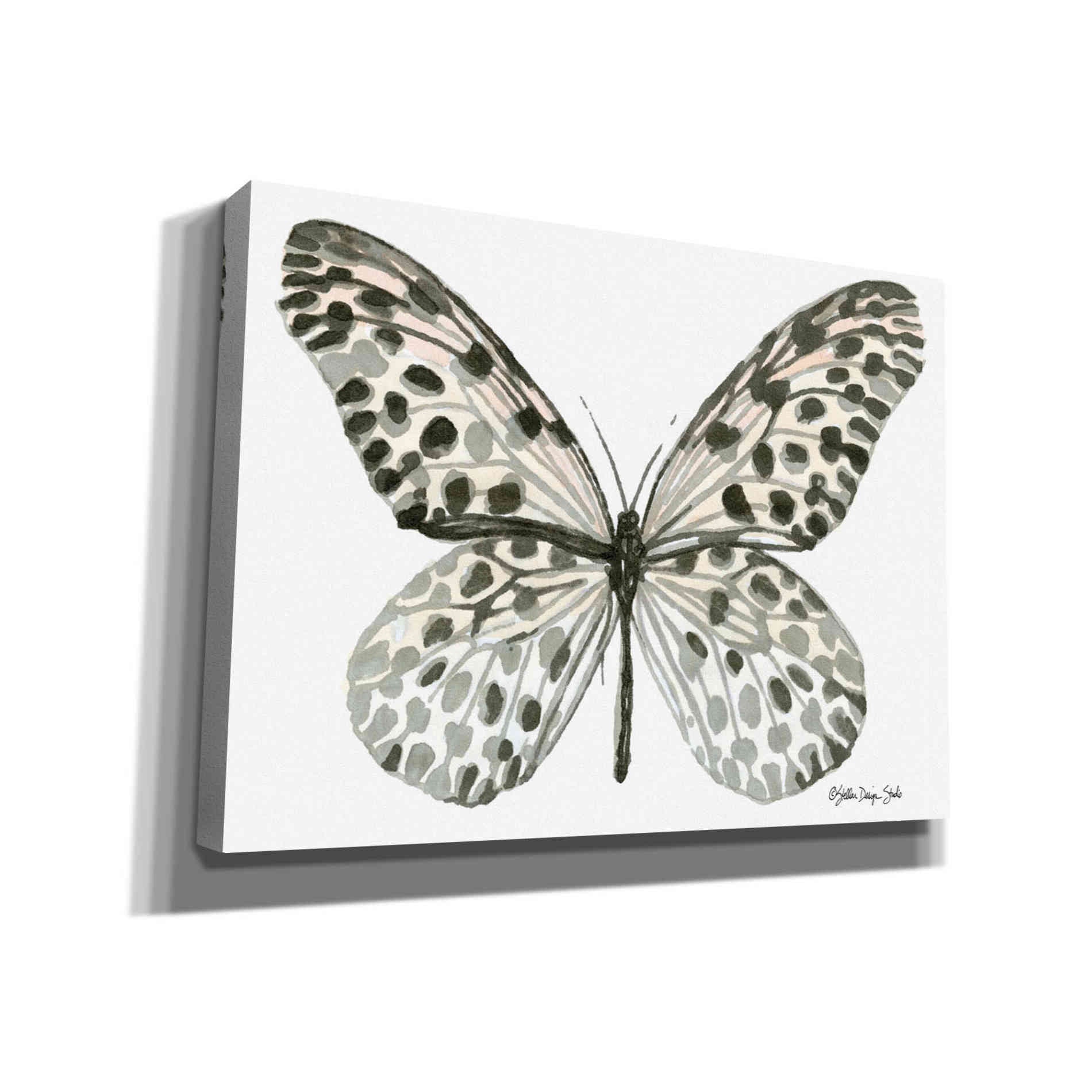 'Butterfly 3' by Stellar Design Studio, Canvas Wall Art