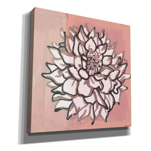 'Pink and Gray Floral 1' by Stellar Design Studio, Canvas Wall Art