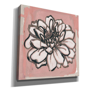'Pink and Gray Floral 2' by Stellar Design Studio, Canvas Wall Art