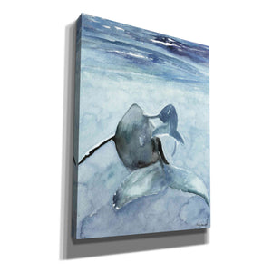 'Dolphin and Calf' by Stellar Design Studio, Canvas Wall Art