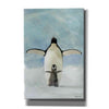 'Penguins' by Stellar Design Studio, Canvas Wall Art