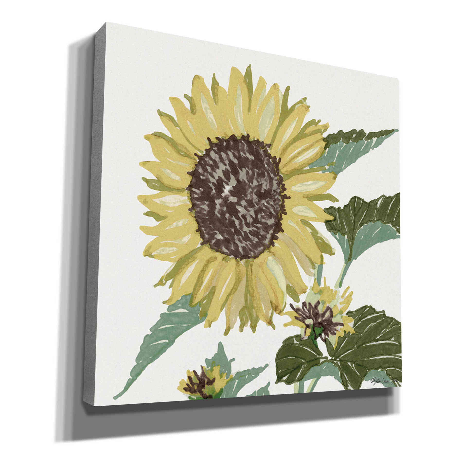 'Floral Study 3' by Stellar Design Studio, Canvas Wall Art