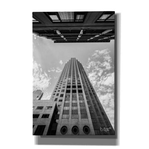 'Looking Up' by Donnie Quillen, Canvas Wall Art