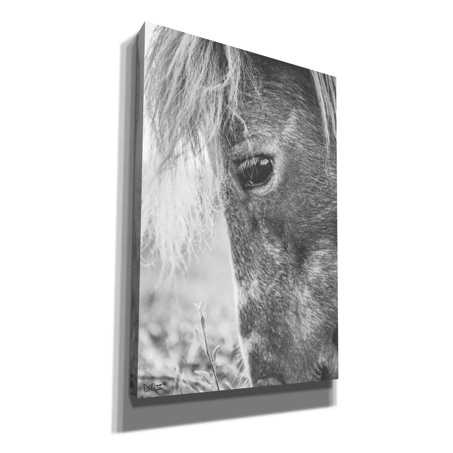 'Old Faithful' by Donnie Quillen, Canvas Wall Art