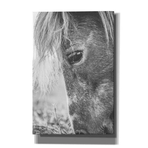 Image of 'Old Faithful' by Donnie Quillen, Canvas Wall Art