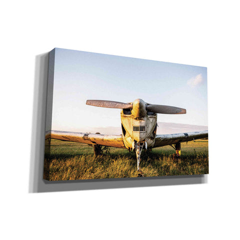 Image of 'Last Flight I Hold' by Donnie Quillen, Canvas Wall Art