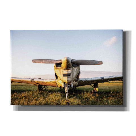 Image of 'Last Flight I Hold' by Donnie Quillen, Canvas Wall Art
