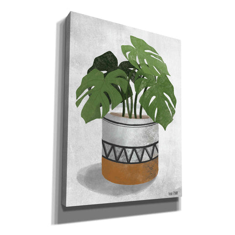Image of 'Monstera Plant' by House Fenway, Canvas Wall Art