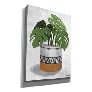 'Monstera Plant' by House Fenway, Canvas Wall Art