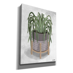 'Spider Plant' by House Fenway, Canvas Wall Art
