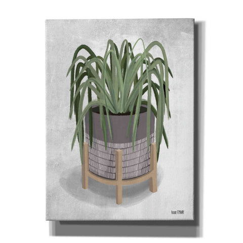 Image of 'Spider Plant' by House Fenway, Canvas Wall Art