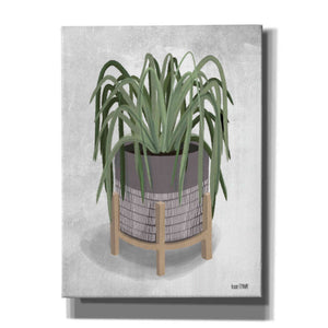 'Spider Plant' by House Fenway, Canvas Wall Art