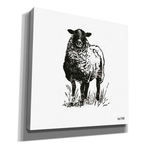 'Farmhouse Sheep' by House Fenway, Canvas Wall Art