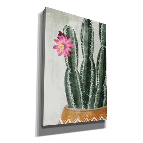 Image of 'Flowering Cactus' by House Fenway, Canvas Wall Art