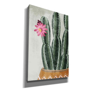 'Flowering Cactus' by House Fenway, Canvas Wall Art