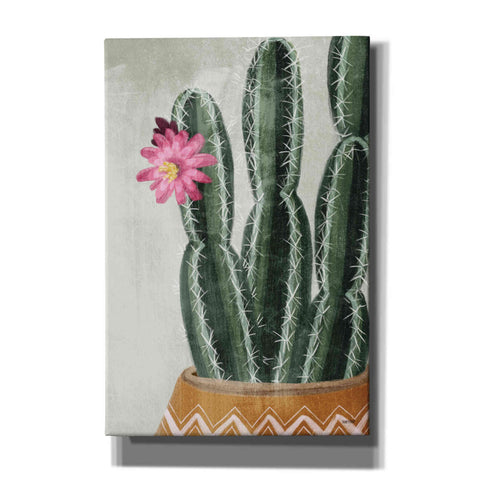 Image of 'Flowering Cactus' by House Fenway, Canvas Wall Art