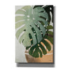 'Monstera Leaves' by House Fenway, Canvas Wall Art