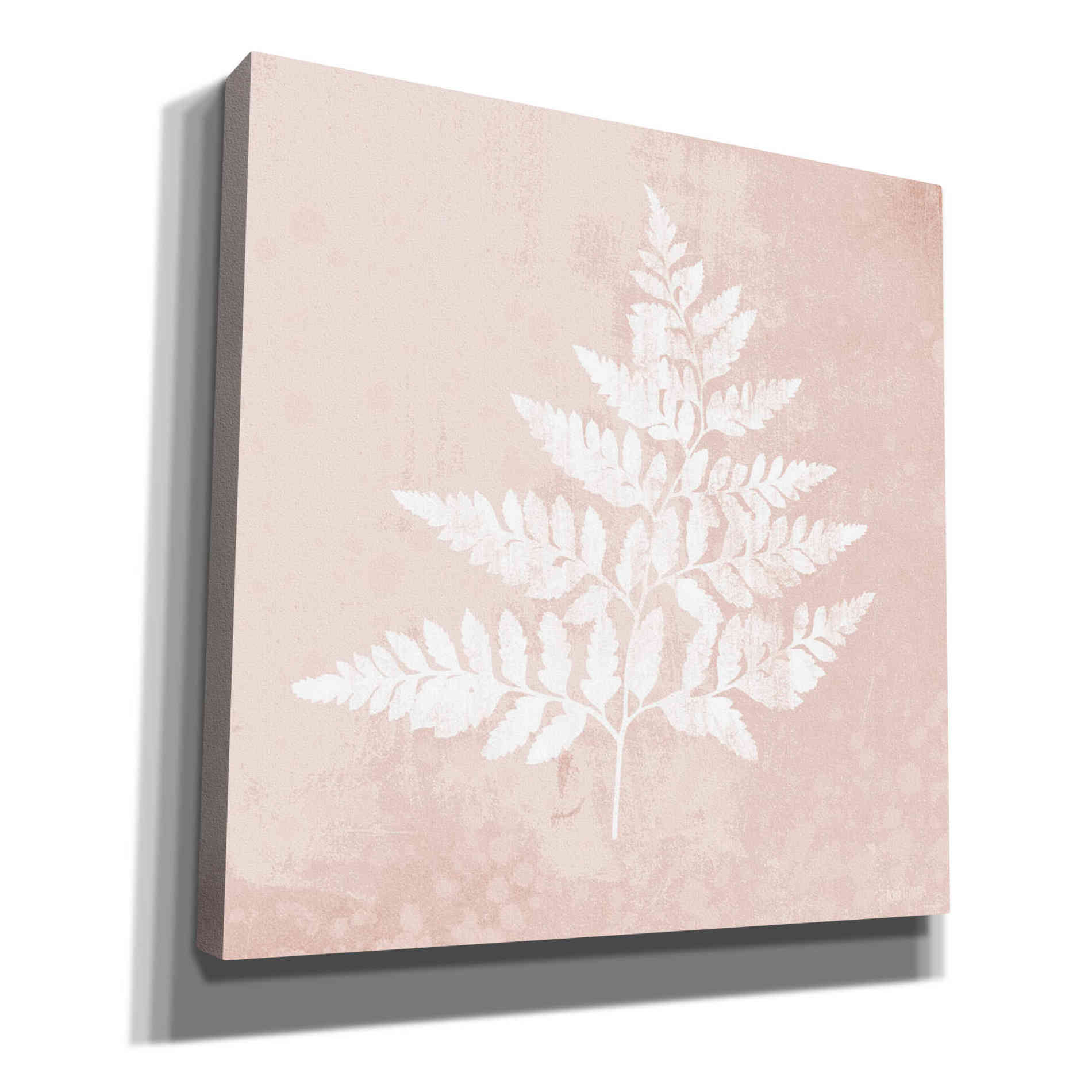 'Blush Fern I' by House Fenway, Canvas Wall Art